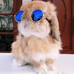 Meet your Posher, Lalee